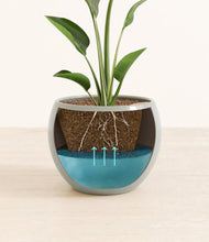 Load image into Gallery viewer, Deep Ocean