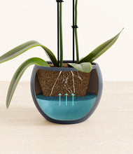 Load image into Gallery viewer, Deep Navy