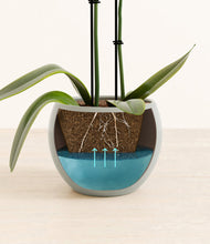 Load image into Gallery viewer, Deep Ocean