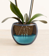 Load image into Gallery viewer, Deep Navy