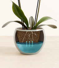 Load image into Gallery viewer, Deep Ocean