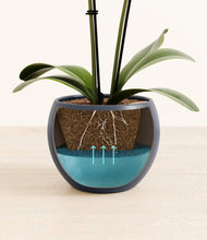 Load image into Gallery viewer, Deep Navy