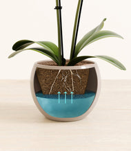 Load image into Gallery viewer, Desert Brown