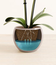 Load image into Gallery viewer, Winter Clouds