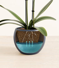 Load image into Gallery viewer, Deep Navy