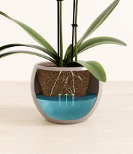 Load image into Gallery viewer, Winter Clouds