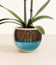 Load image into Gallery viewer, Shiny EggWhite