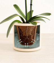 Load image into Gallery viewer, Cream stand:all