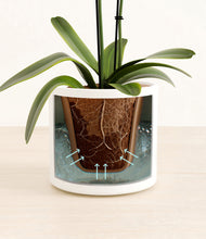 Load image into Gallery viewer, White stand:all