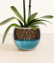 Load image into Gallery viewer, Deep Ocean