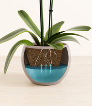 Load image into Gallery viewer, Winter Clouds