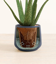 Load image into Gallery viewer, Deep Navy stand:all