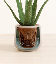 Load image into Gallery viewer, Eternal Gray stand:all