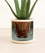 Load image into Gallery viewer, Cream stand:all