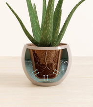 Load image into Gallery viewer, Desert Brown stand:all