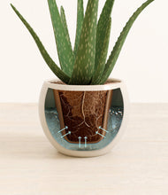 Load image into Gallery viewer, Natural Bamboo stand:all