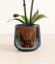 Load image into Gallery viewer, Deep Navy stand:all