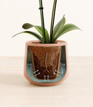 Load image into Gallery viewer, Calm Rose stand:all