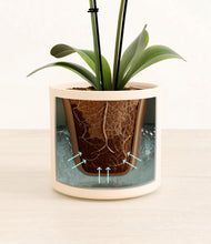 Load image into Gallery viewer, Cream stand:all