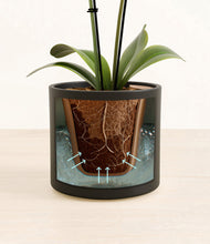 Load image into Gallery viewer, Black stand:all