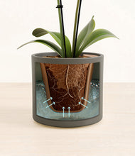 Load image into Gallery viewer, Dark Olive stand:all