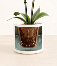 Load image into Gallery viewer, White stand:all