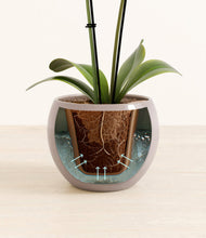 Load image into Gallery viewer, Winter Clouds stand:all