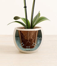 Load image into Gallery viewer, Shiny EggWhite stand:all