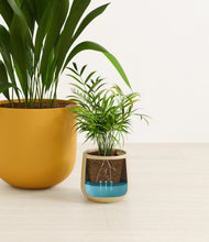 Lade das Bild in den Galerie-Viewer, Tiger Lily stand:all