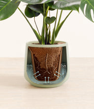 Lade das Bild in den Galerie-Viewer, Turquoise stand:all