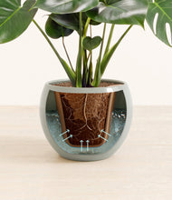 Lade das Bild in den Galerie-Viewer, Deep Ocean stand:all