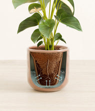 Load image into Gallery viewer, Hammered Peach Pink stand:all