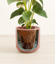Load image into Gallery viewer, Hammered Rose Pink stand:all
