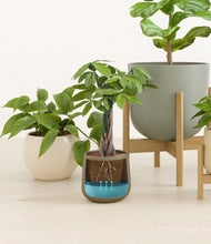 Load image into Gallery viewer, Woodland stand:three_stands