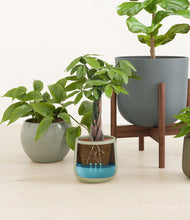 Load image into Gallery viewer, Countryside stand:two_stands