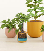 Load image into Gallery viewer, Evening Sky