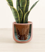 Load image into Gallery viewer, Striped Rose Pink stand:all