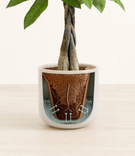 Load image into Gallery viewer, Snowdrift White stand:all