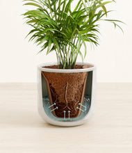 Load image into Gallery viewer, Hammered Ivory stand:all