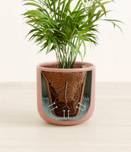 Load image into Gallery viewer, Striped Rose Pink stand:all
