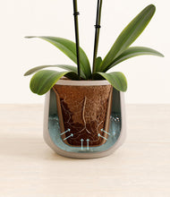 Load image into Gallery viewer, Eternal Gray