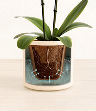 Load image into Gallery viewer, Cream