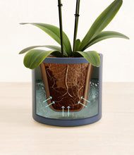 Load image into Gallery viewer, Deep Navy