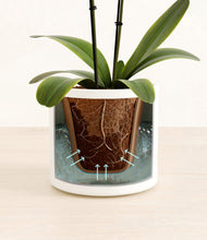 Load image into Gallery viewer, White