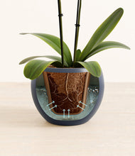 Load image into Gallery viewer, Deep Navy