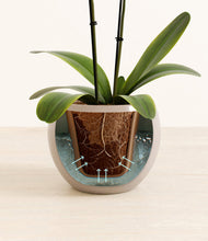 Load image into Gallery viewer, Desert Brown