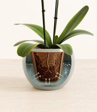 Load image into Gallery viewer, Deep Ocean