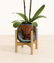 Load image into Gallery viewer, Deep Navy stand:bamboo