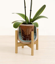 Load image into Gallery viewer, Eternal Gray stand:bamboo