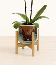 Load image into Gallery viewer, Turquoise stand:bamboo